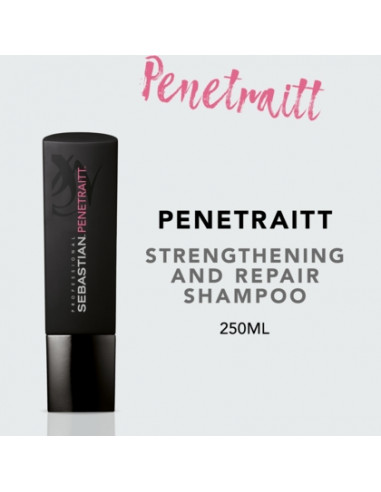Sebastian foundation penetraitt shampoo 250 ml